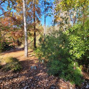 149 Brandy Mill
