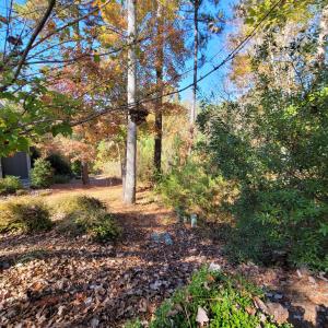 149 Brandy Mill