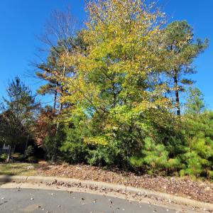 149 Brandy Mill