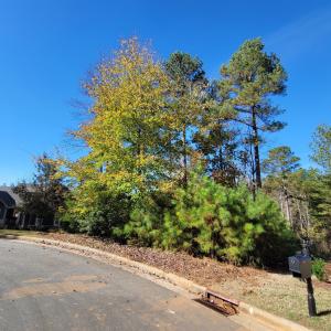 149 Brandy Mill