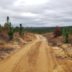 7lk.clay.rd