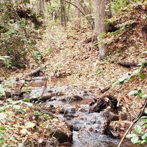 7Lk.sandhill.stream2.new