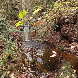 7Lk.sandhill.stream.new