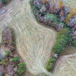 Drone 4