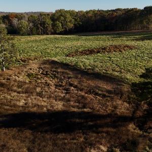 Copy of dji_fly_20241113_153704_0425_173