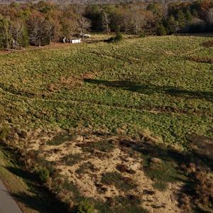 Copy of dji_fly_20241113_153626_0424_173