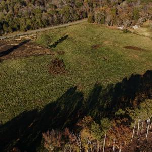 Copy of dji_fly_20241113_152906_0420_173