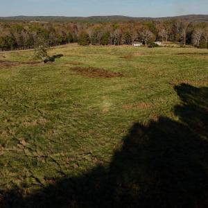 Copy of dji_fly_20241113_152802_0417_173