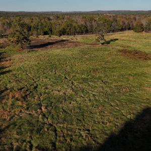 Copy of dji_fly_20241113_152736_0415_173