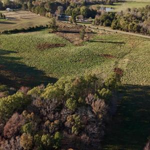 Copy of dji_fly_20241113_152638_0414_173