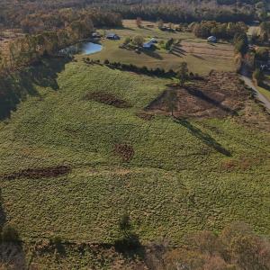 Copy of dji_fly_20241113_152602_0412_173