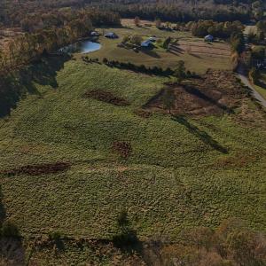 Copy of dji_fly_20241113_152558_0411_173