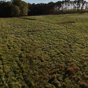 Copy of dji_fly_20241113_152514_0410_173