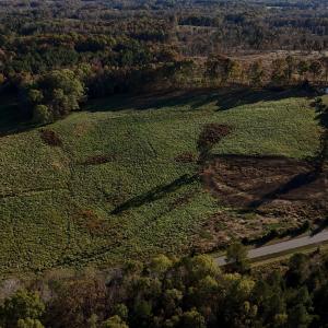 Copy of dji_fly_20241113_152348_0409_173
