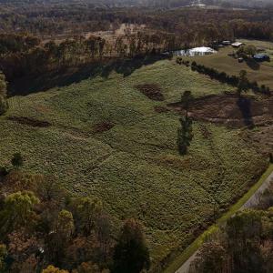 Copy of dji_fly_20241113_152320_0408_173