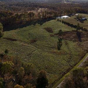 Copy of dji_fly_20241113_152316_0407_173