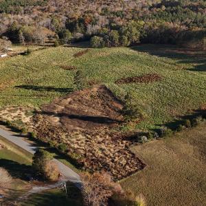 Copy of dji_fly_20241113_152212_0405_173