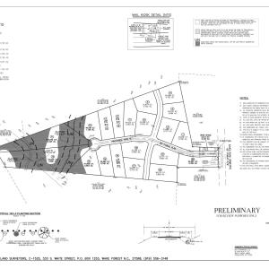 Eaves Road Site Plan