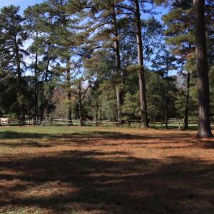 10 acre lot