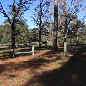 10 acre lot