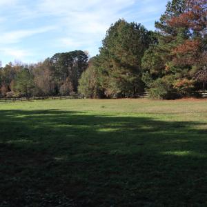 Pastures