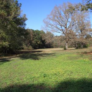 Pastures