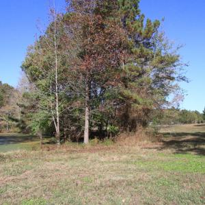 10 acre lot