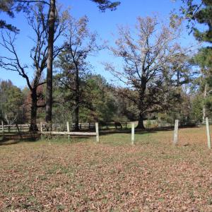 10 acre lot