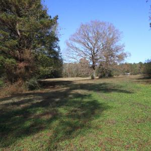 10 acre lot