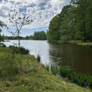 Lake Front