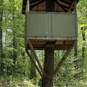 Tree House