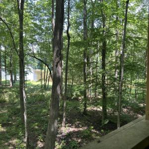 View from Treehouse