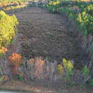 Cleetwood MLS PICS-0260