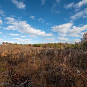 Cleetwood MLS PICS-6193