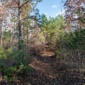 Cleetwood MLS PICS-6213