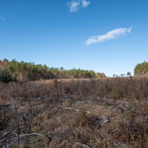 Cleetwood MLS PICS-6238
