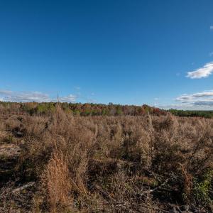 Cleetwood MLS PICS-6253