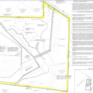 139 Pondarosa - Survey