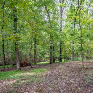 3946 Nottaway Rd-3