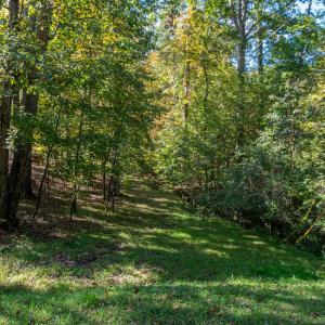 3946 Nottaway Rd-3 2