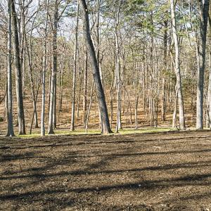 3946 Nottaway Rd 2-4