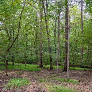 3946 Nottaway Rd-1