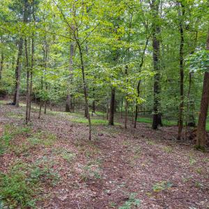 3946 Nottaway Rd-6