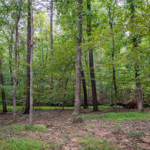3946 Nottaway Rd-2