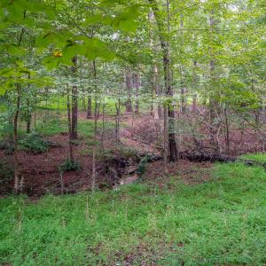 3946 Nottaway Rd-5