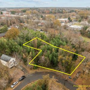 1-web-or-mls-DJI_0322_1
