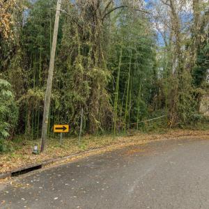 13-web-or-mls-DJI_0333