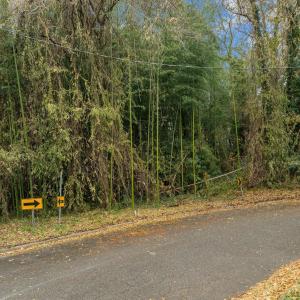 14-web-or-mls-DJI_0334