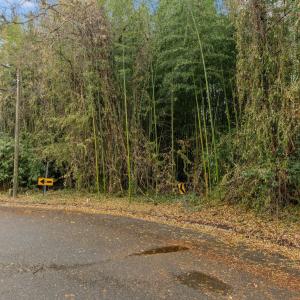 15-web-or-mls-DJI_0335