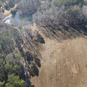 DJI_0666